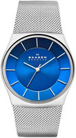 Skagen Mesh SKW6068