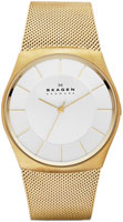 Skagen Mesh SKW6069