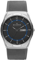 Skagen Mesh SKW6078