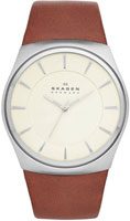 Skagen Leather SKW6084