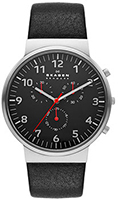 Skagen Leather SKW6100