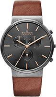 Skagen Leather SKW6106
