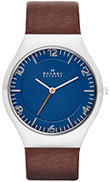 Skagen Leather SKW6112
