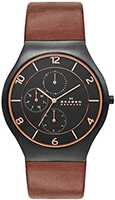 Skagen Leather SKW6117
