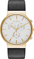 Skagen Leather SKW6143