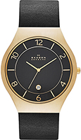 Skagen Leather SKW6145