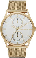 Skagen Mesh SKW6173