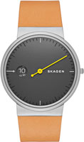 Skagen Leather SKW6194