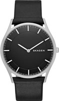 Skagen Leather SKW6220