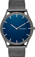 Skagen Mesh SKW6223
