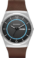 Skagen Leather SKW6305