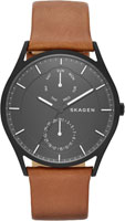 Skagen Leather SKW6347