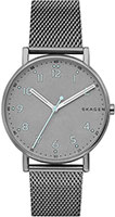 Skagen Mesh SKW6354