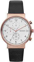 Skagen Leather SKW6371
