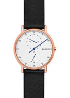 Skagen Leather SKW6390