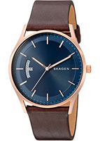 Skagen Leather SKW6395