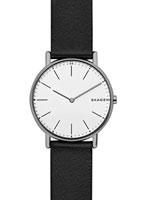 Skagen Leather SKW6419