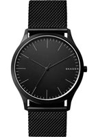 Skagen Mesh SKW6422