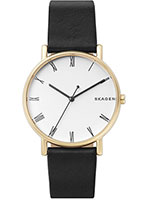 Skagen Leather SKW6426