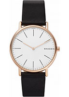 Skagen Leather SKW6430