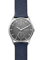 Skagen Leather SKW6448