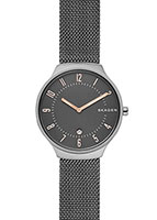 Skagen Mesh SKW6460