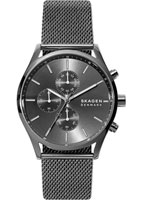 Skagen Mesh SKW6608