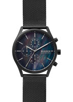 Skagen Mesh SKW6651