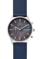 Skagen Leather SKW6653