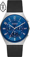 Skagen Grenen SKW6820