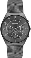 Skagen Grenen SKW6821