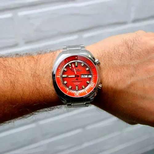 Slava 2430517-100-2427
