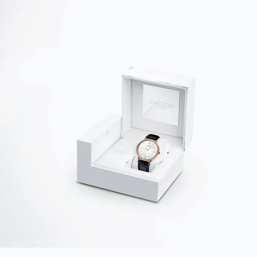 Sokolov 210.01.00.001.06.01.2