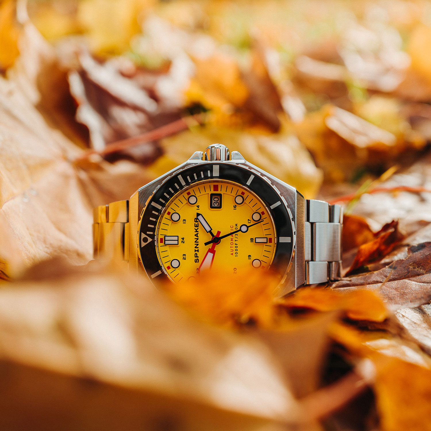 Spinnaker SP-5081-II