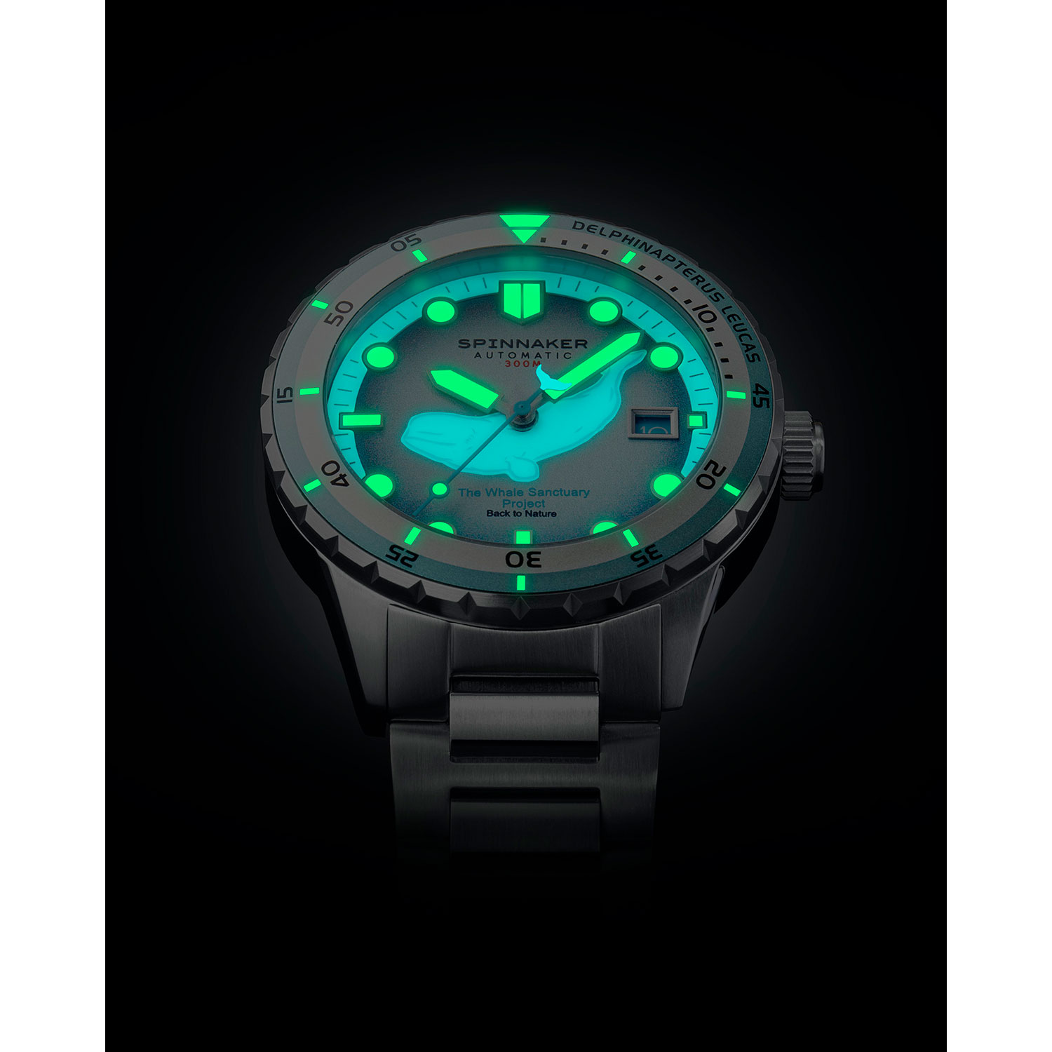 Spinnaker SP-5128-11