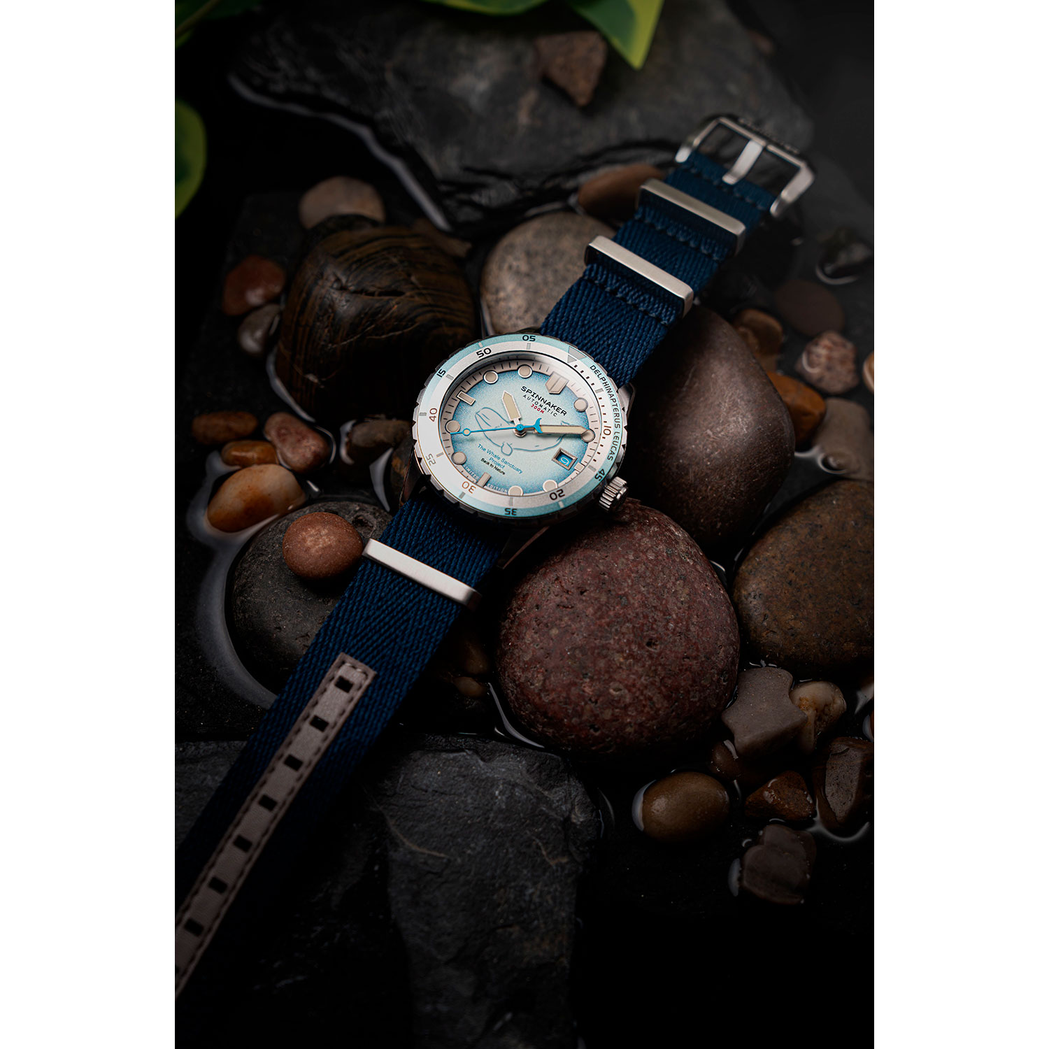 Spinnaker SP-5128-11