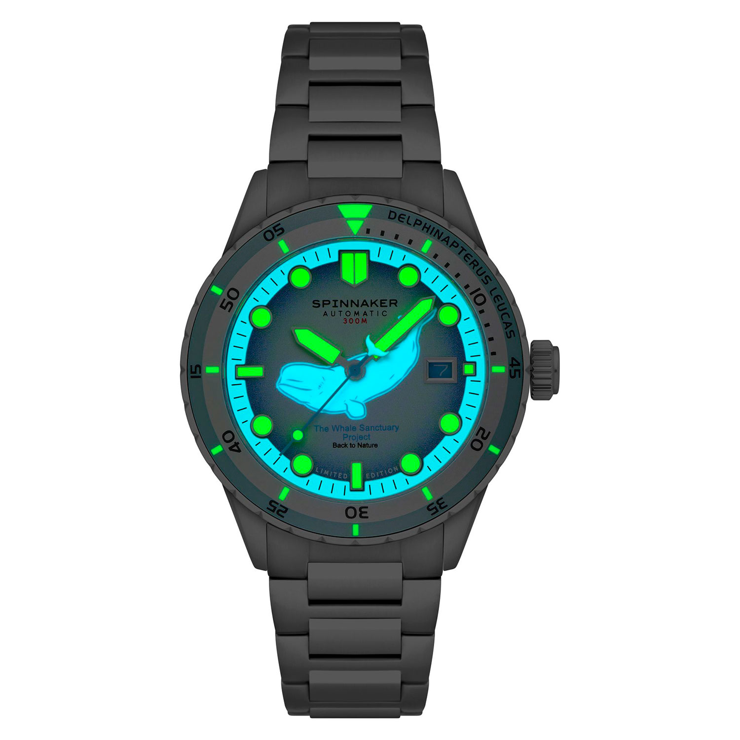 Spinnaker SP-5128-11