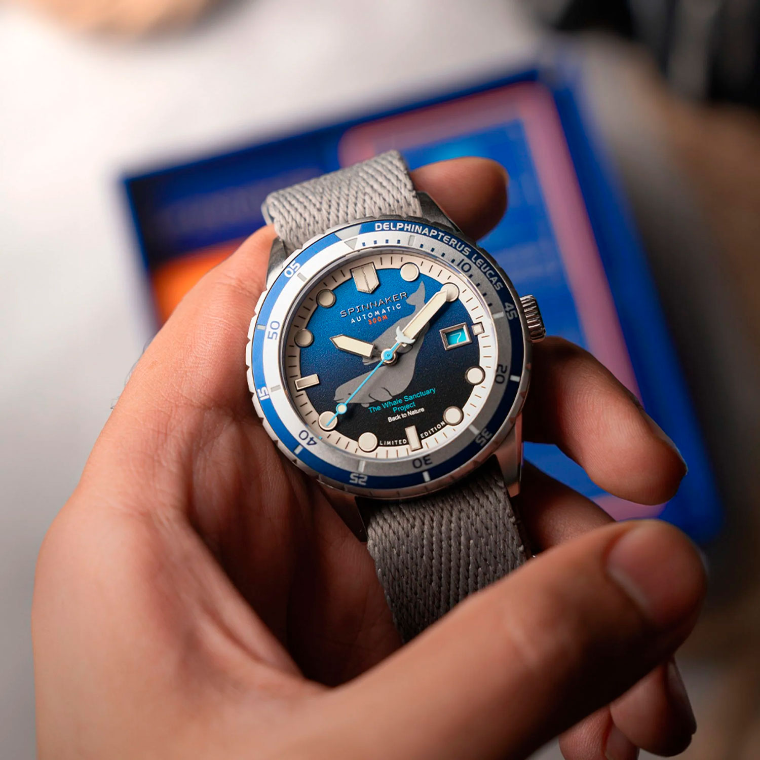 Spinnaker SP-5128-33