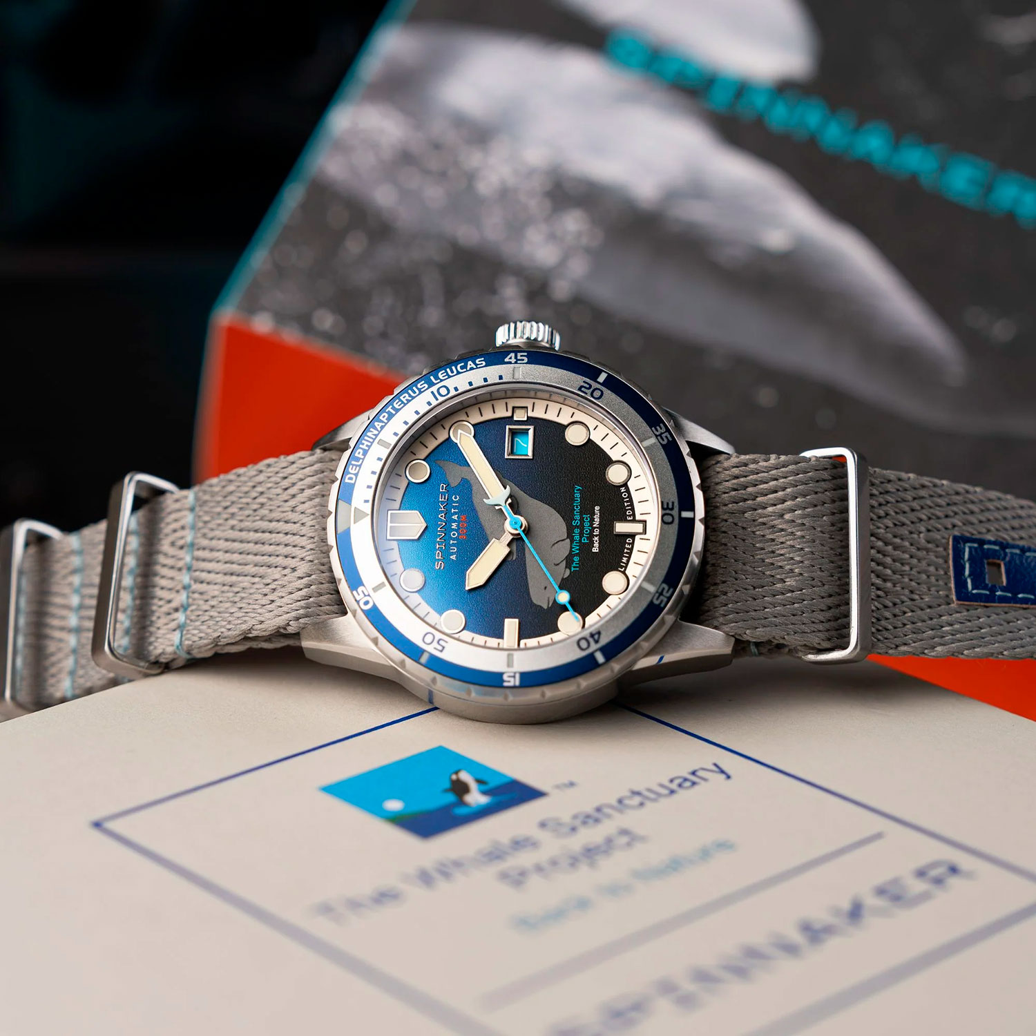 Spinnaker SP-5128-33