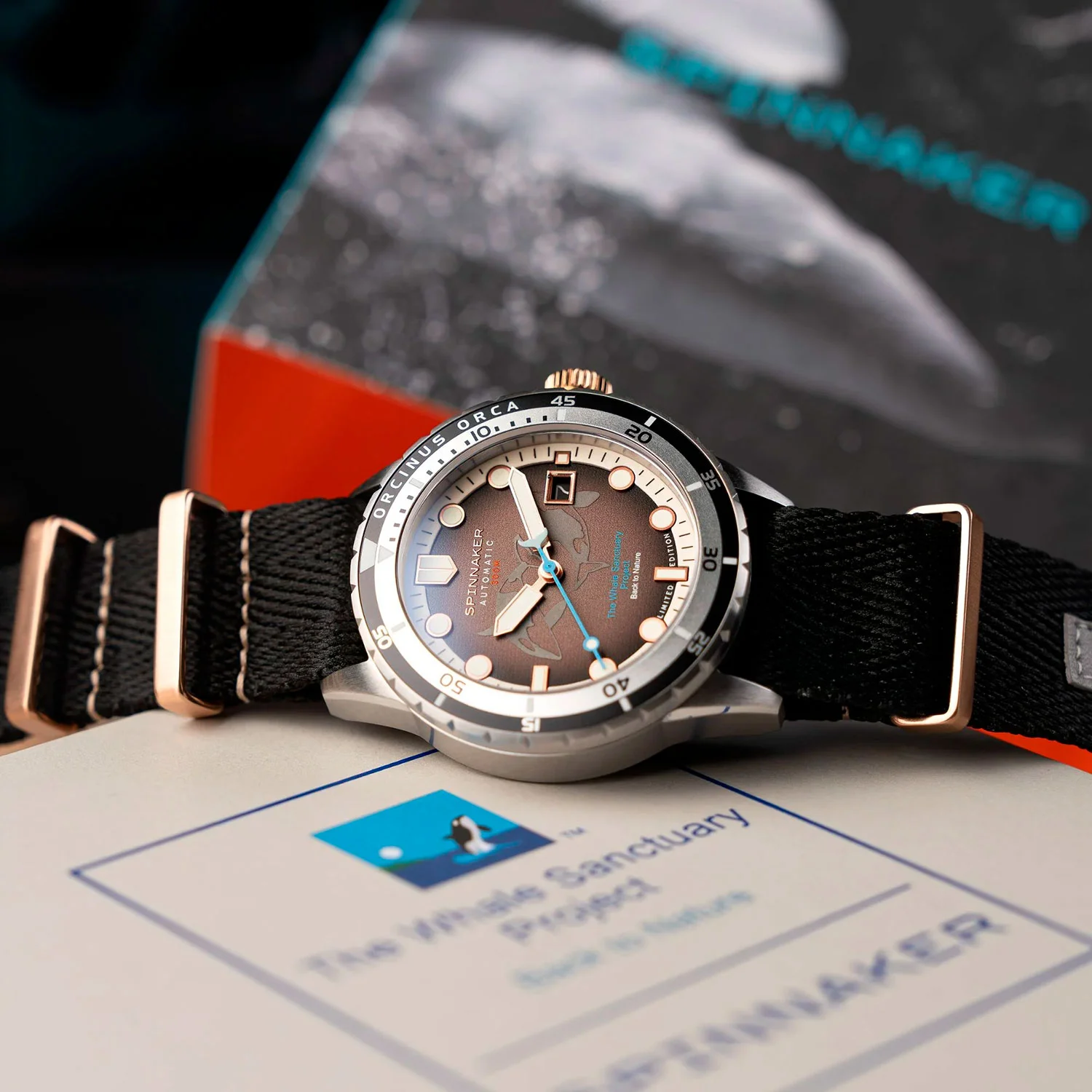 Spinnaker SP-5128-44