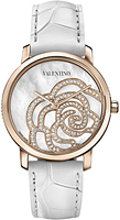 Valentino Ladies V41SBQ5091SSA01