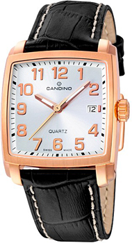 Часы Candino Elegance C4373.3