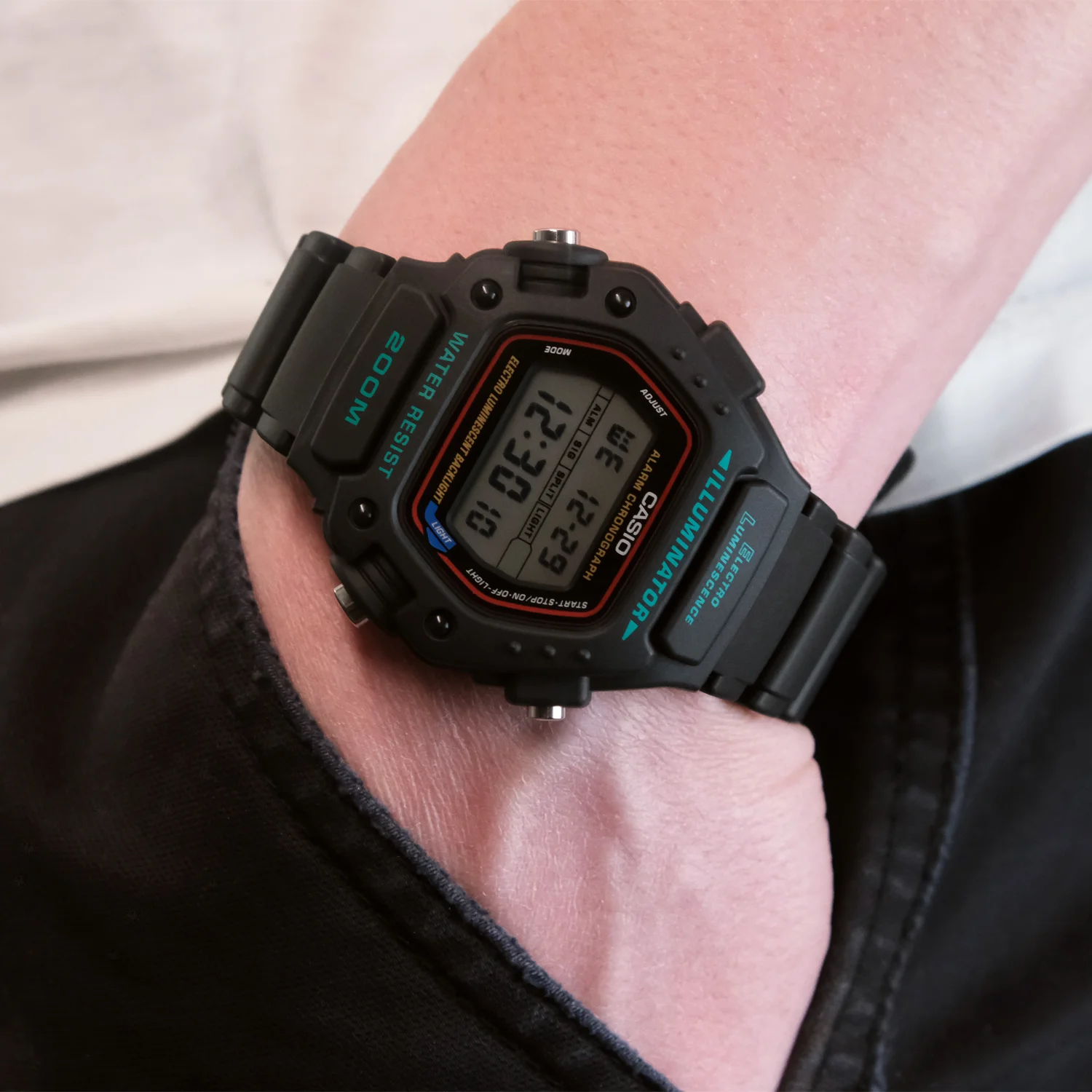casio DW-290-1V