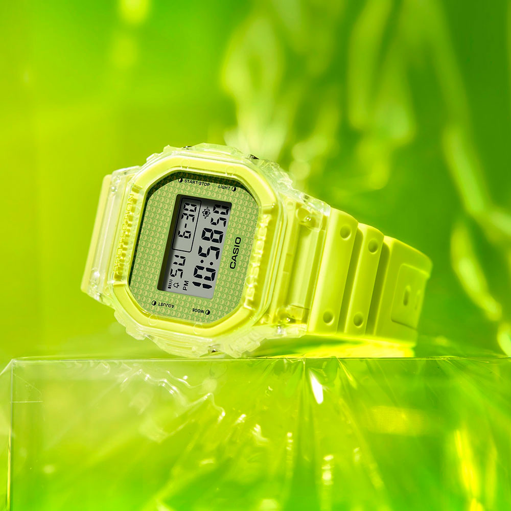 casio DW-5600GL-9