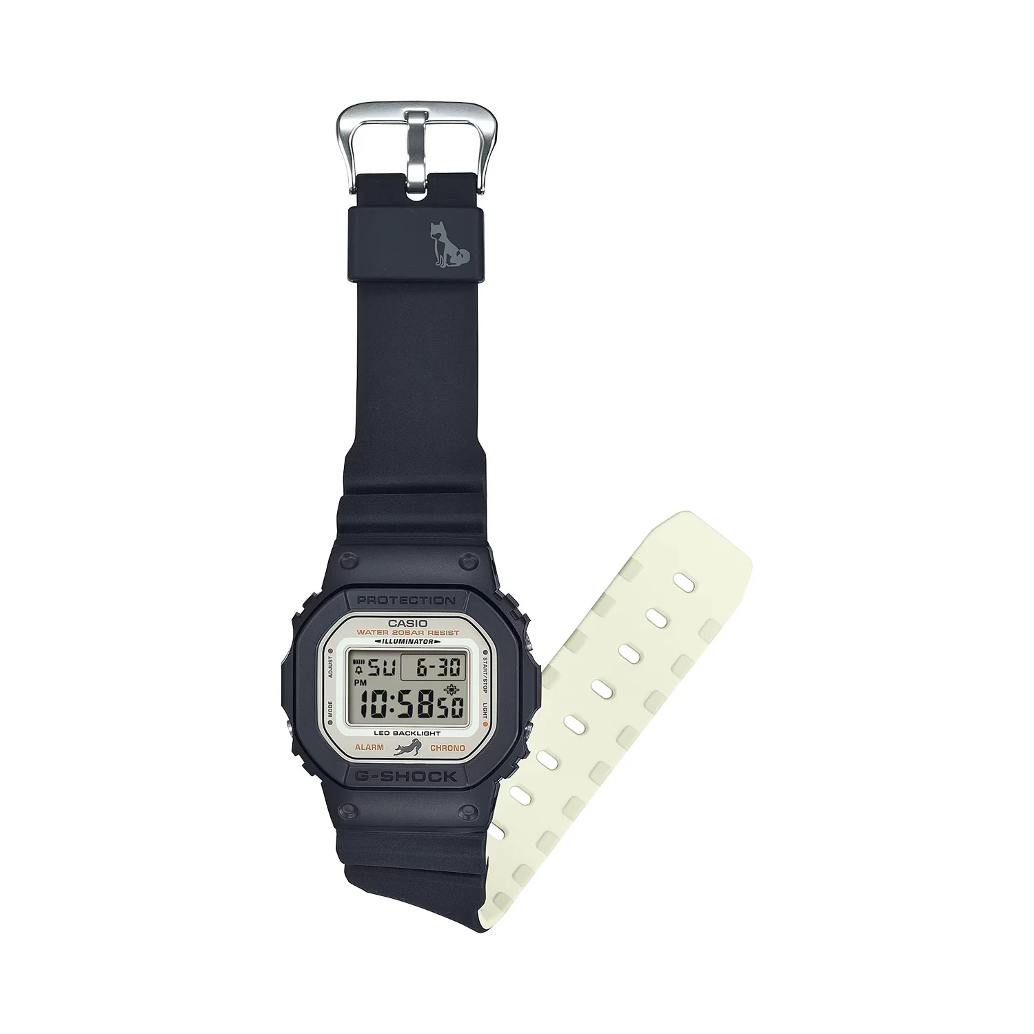 casio DW-5600SHB-1