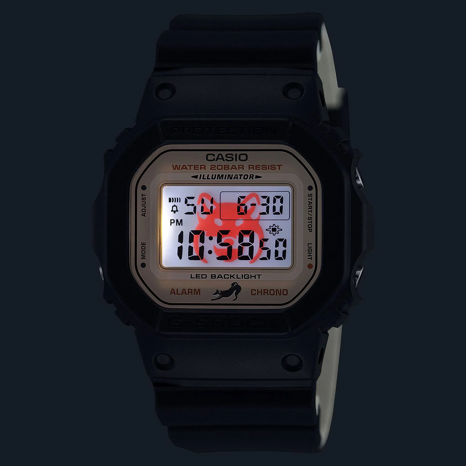 casio DW-5600SHB-1