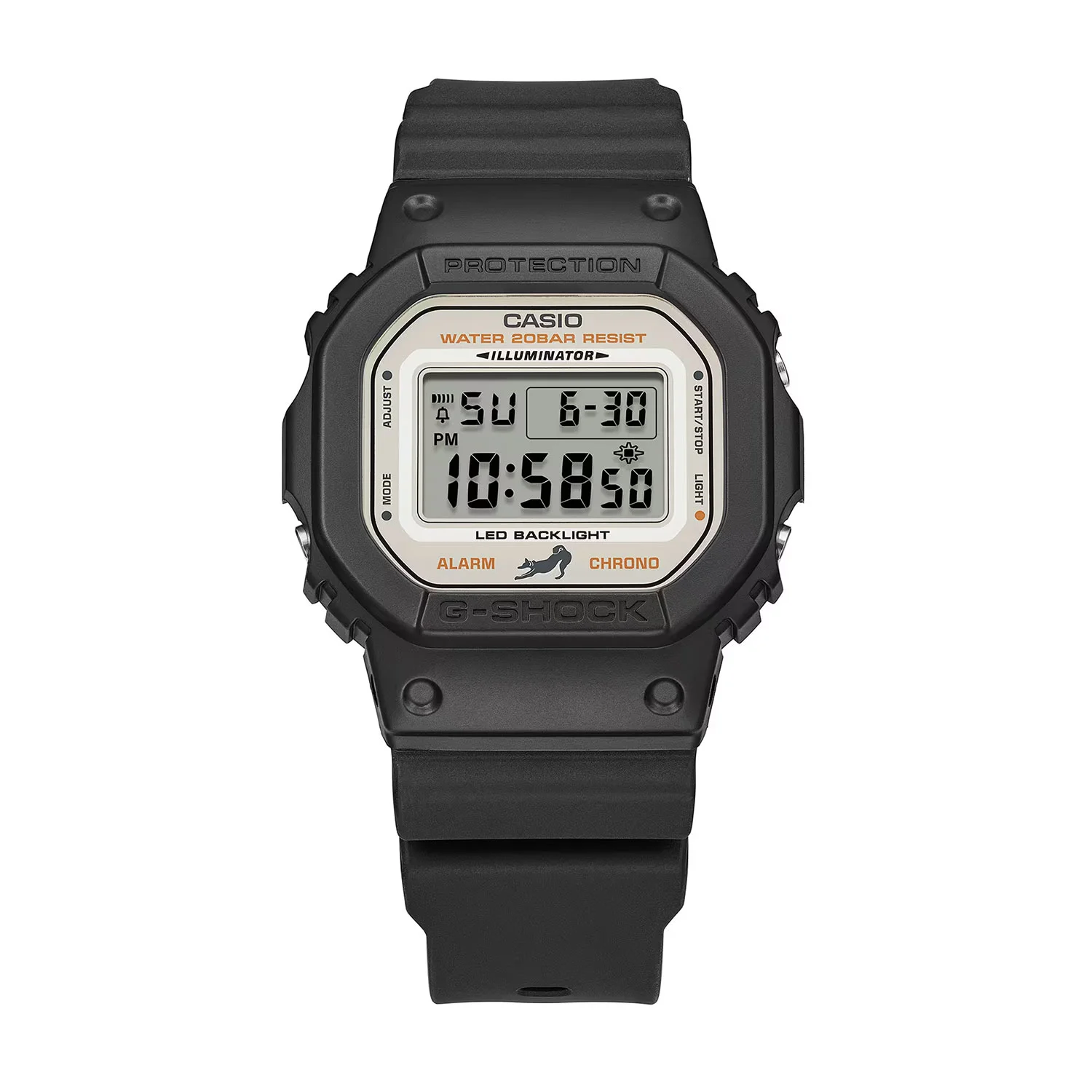 casio DW-5600SHB-1