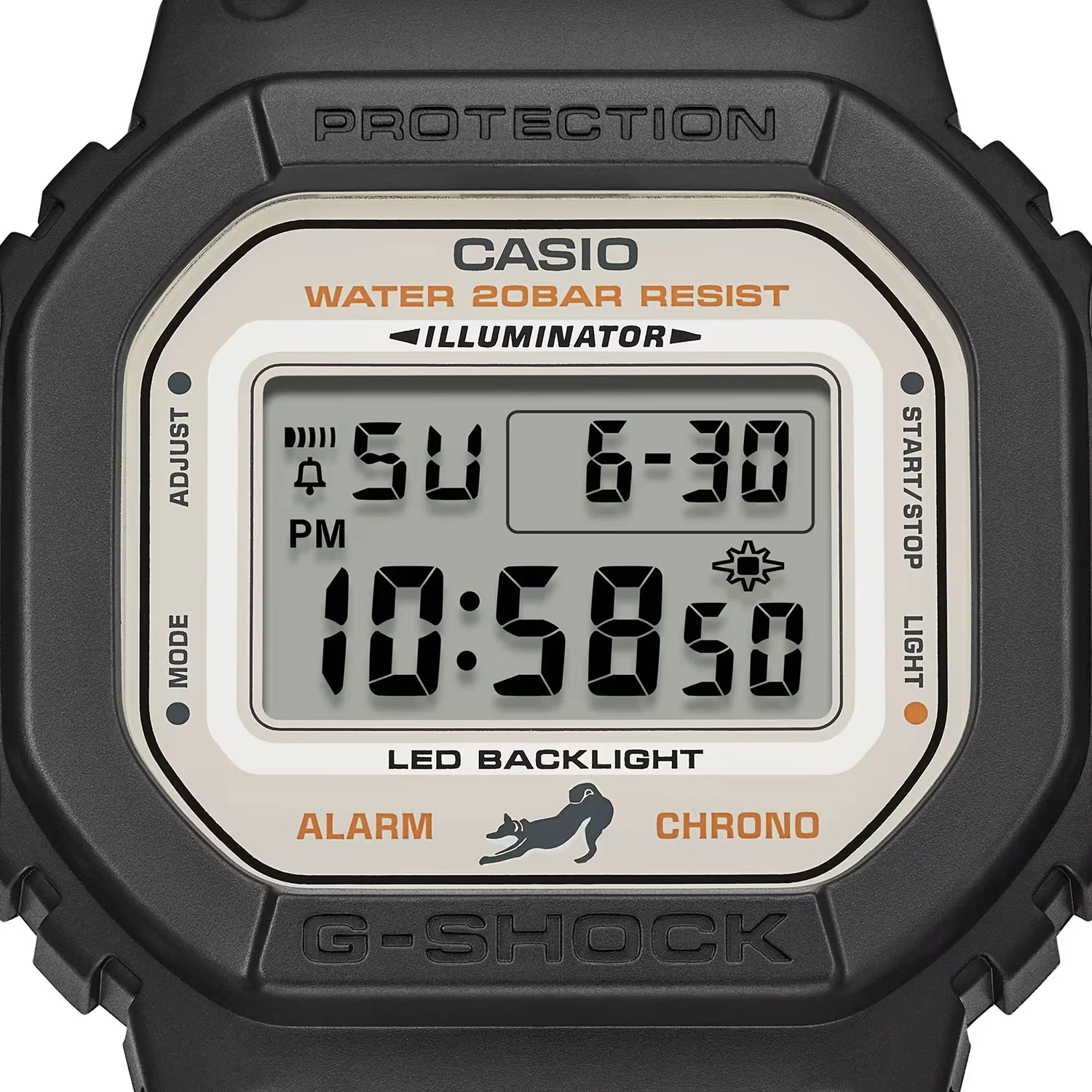 casio DW-5600SHB-1