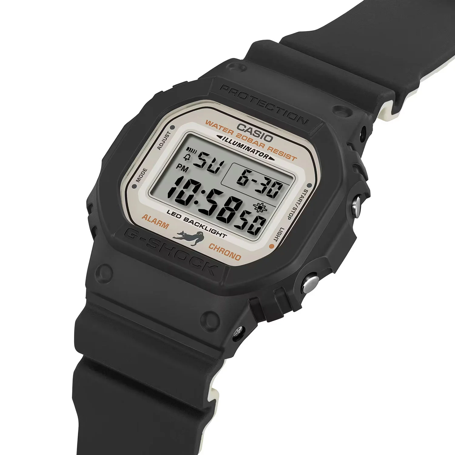 casio DW-5600SHB-1