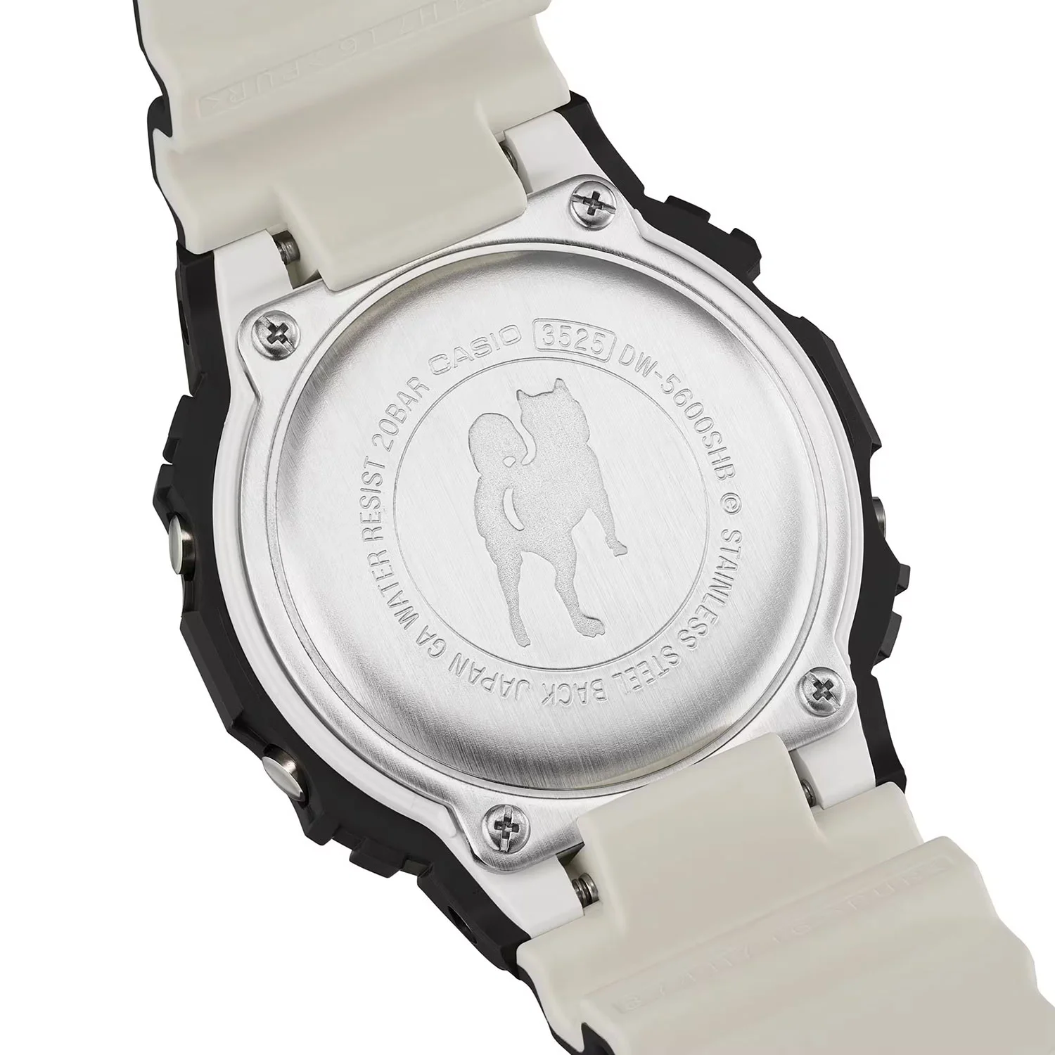 casio DW-5600SHB-1